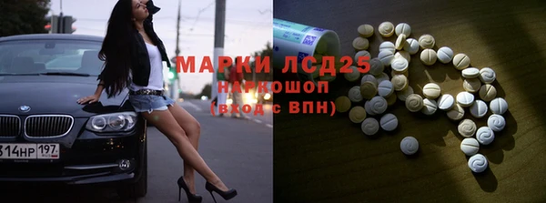 хмурый Белокуриха
