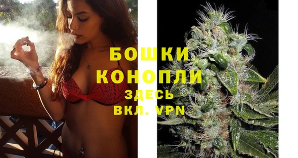 прущие грибы Нягань