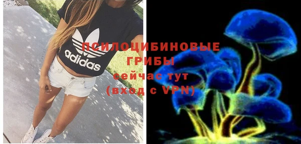 хмурый Белокуриха