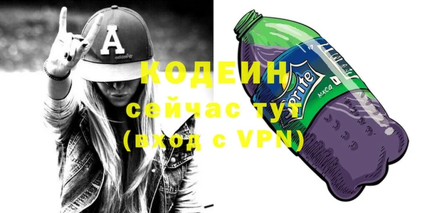 хмурый Белокуриха