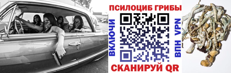 Галлюциногенные грибы ЛСД Гудермес