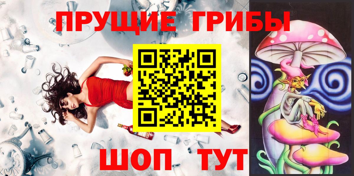 Гудермес  где купить   Галлюциногенные грибы GOLDEN TEACHER  Вход с VPN  Галлюциногенные грибы Cubensis 