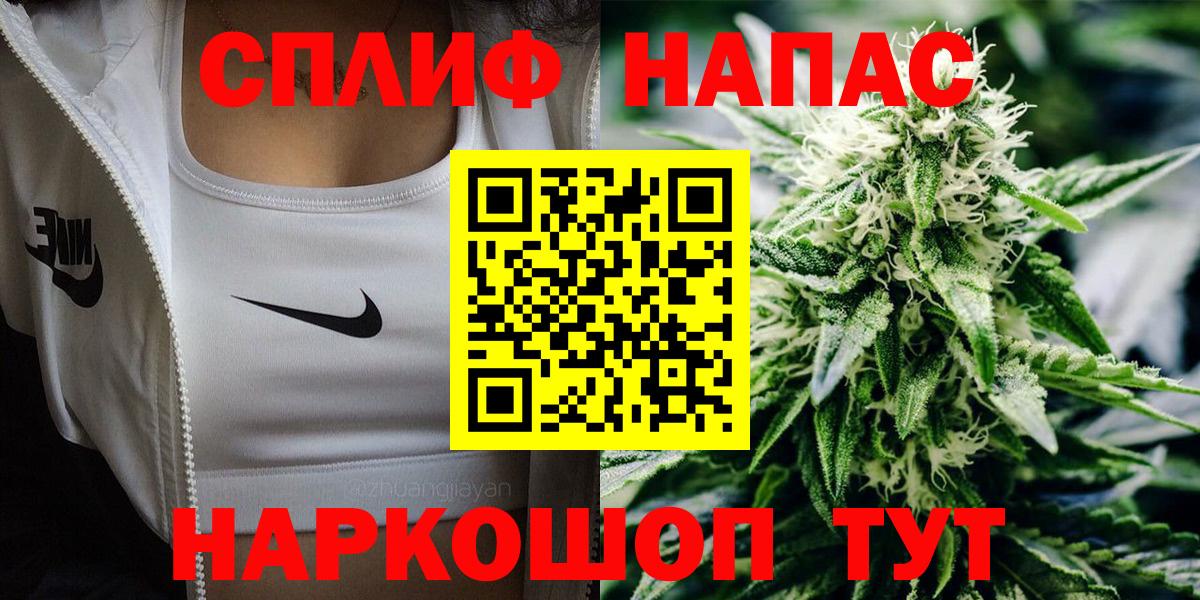 Каннабис сатива Гудермес